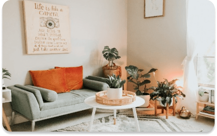 観葉植物のある部屋の画像